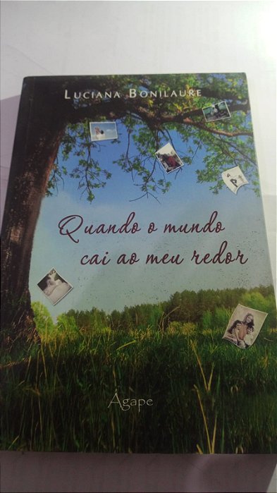 Quando o mundo cai ao meu redor - Luciana Bonilaure