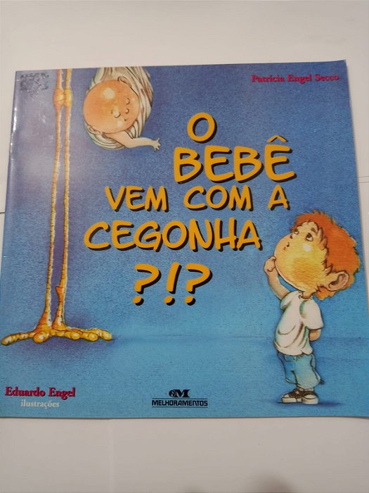 O bebe com a cegonha - Patricia Engel Secco