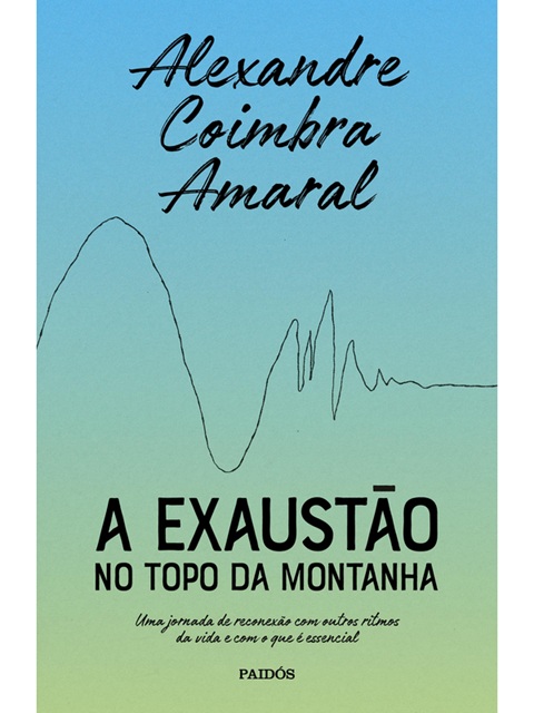 A exaustão no topo da montanha - Alexandre Coimbra