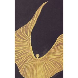 La virevolte - Nancy Huston (Em Francês) - Marcas