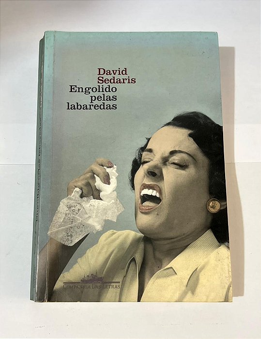 Engolido pelas labaredas - David Sedaris