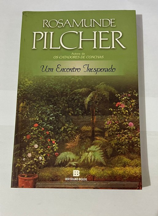 Um encontro inesperado - Rosamunde Pilcher
