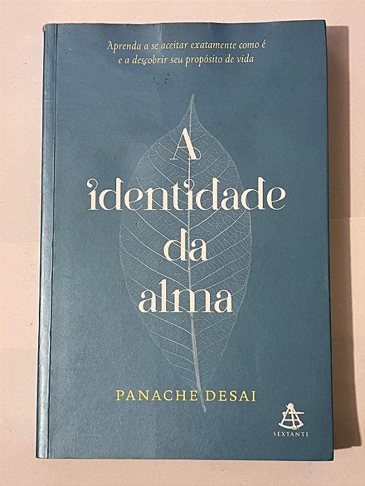 A identidade da alma - Panache Desai