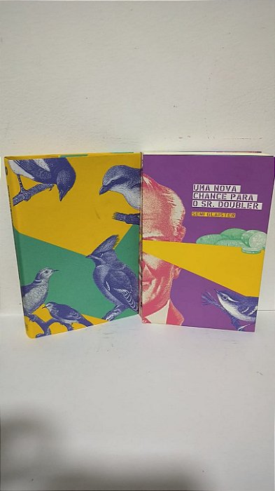 Uma nova chance para o sr. Doubler - Seni Glaister