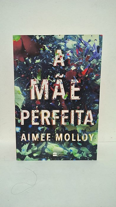 A mãe e perfeita - Aimee Molloy