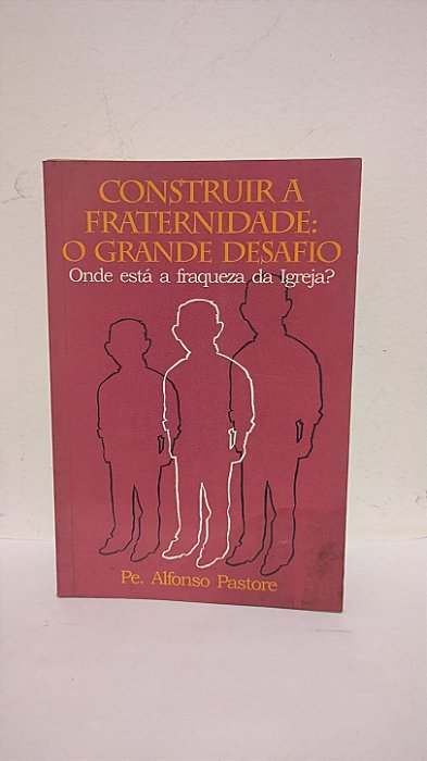 Construir a Fraternidade: O Grande Desafio - Onde está a fraqueza da Igreja? - Pe Alfonso Pastore