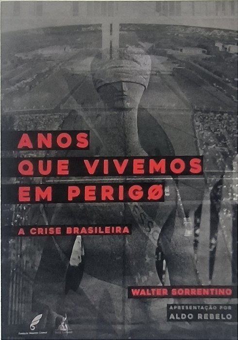 Anos Que Vivemos em Perigo: A Crise Brasileira  - Walter Sorrentino