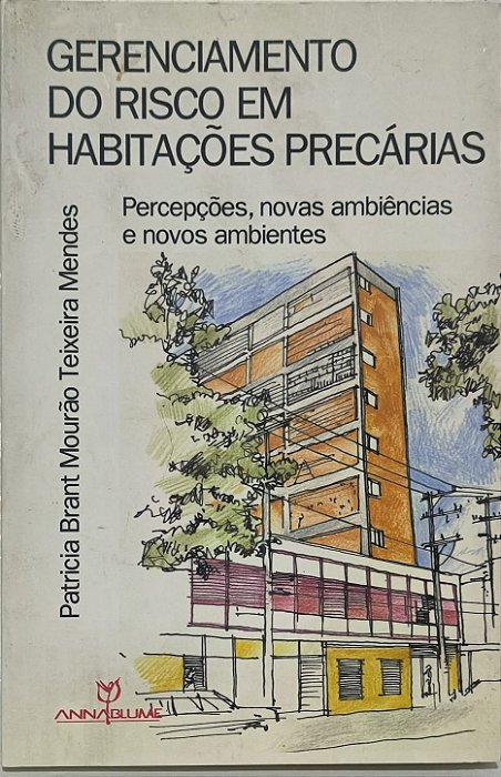 Gerenciamento do Risco em Habitações Precárias: Percepções, novas ambiências e novos ambientes - Patrícia Brant Mourão Teixeira Mendes