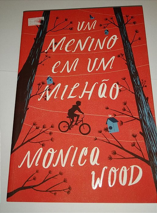Um menino em um milhão - Monica Wood