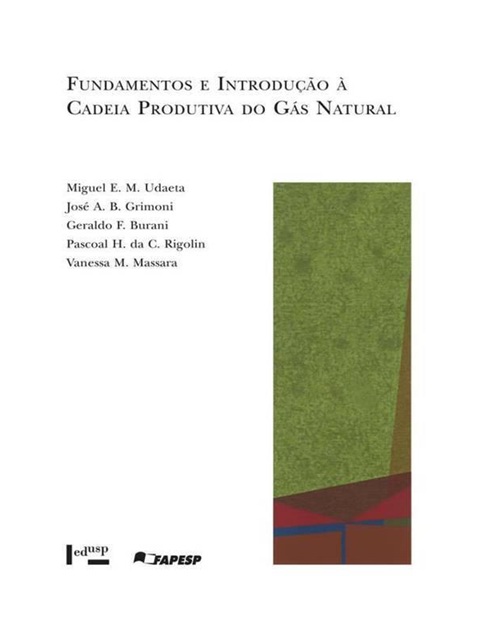 Fundamentos e introdução à cadeia produtiva do gás natural - Miguel Edgar Morales Udaeta