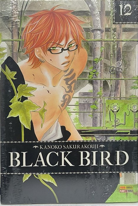Black Bird vol 12 - Kanoko Sakurakoji (mangá)