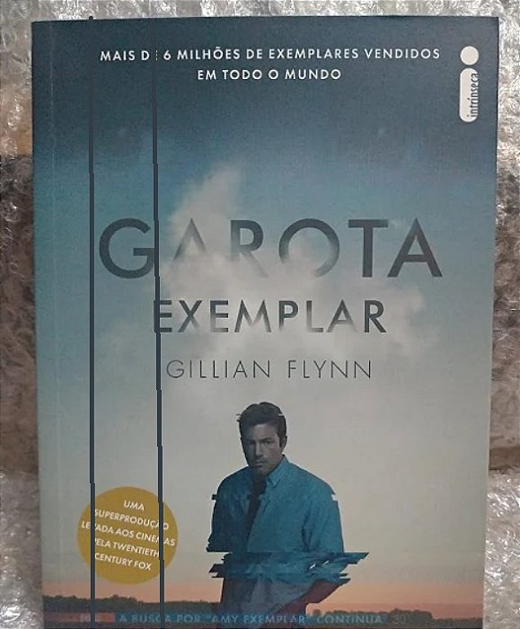 Garota Exemplar - Gillian Flynn (marcas)