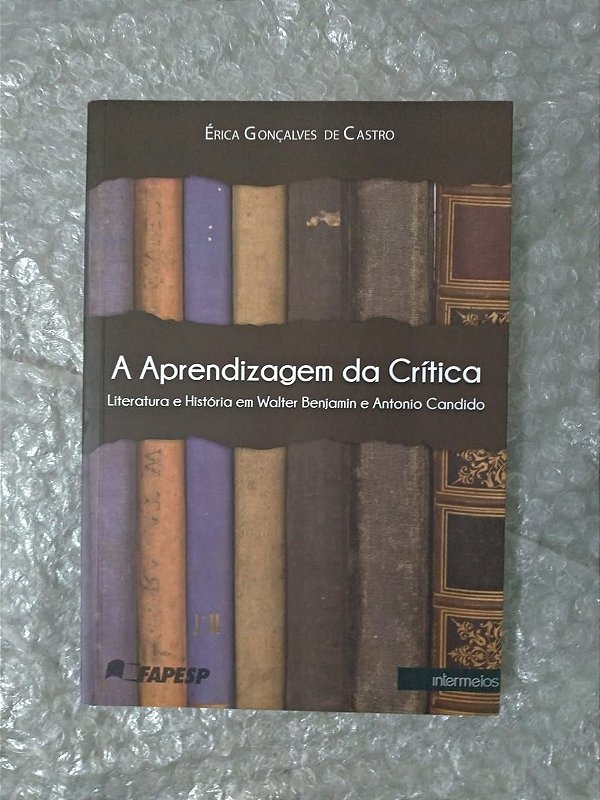 A Aprendizagem da Crítica - Érica Gonçalves de Castro