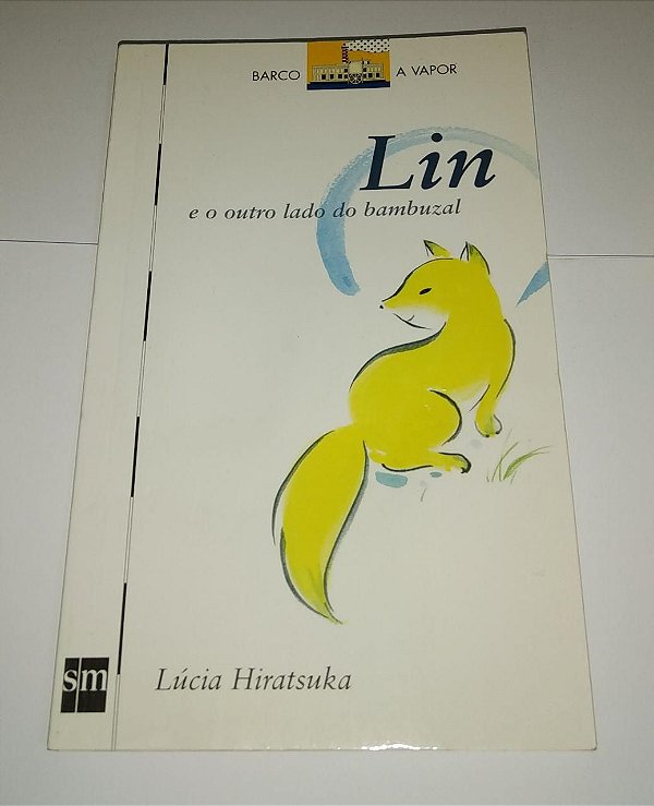 Lin e o outro lado do invisível - Lúcia Hiratsuka
