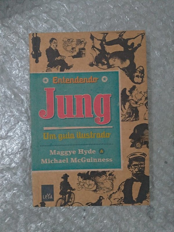 Entendendo Jung - Maggye Hyde e Michael McGuinness