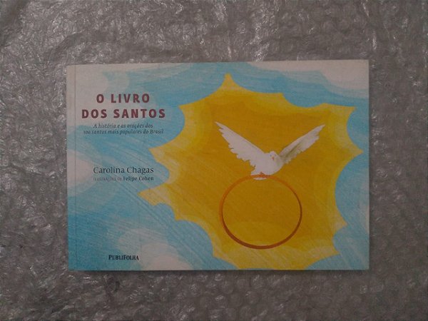 O Livro dos Santos - Carolina Chagas