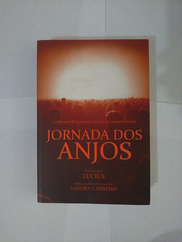 Jornada dos Anjos - Sandra Carneiro (ótimo estado)
