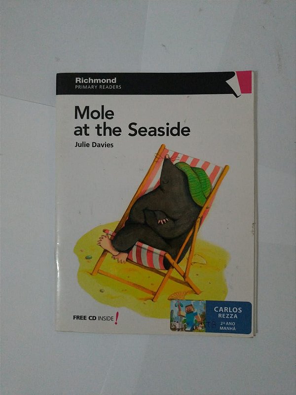Mole At The Seaside - Julie Davies