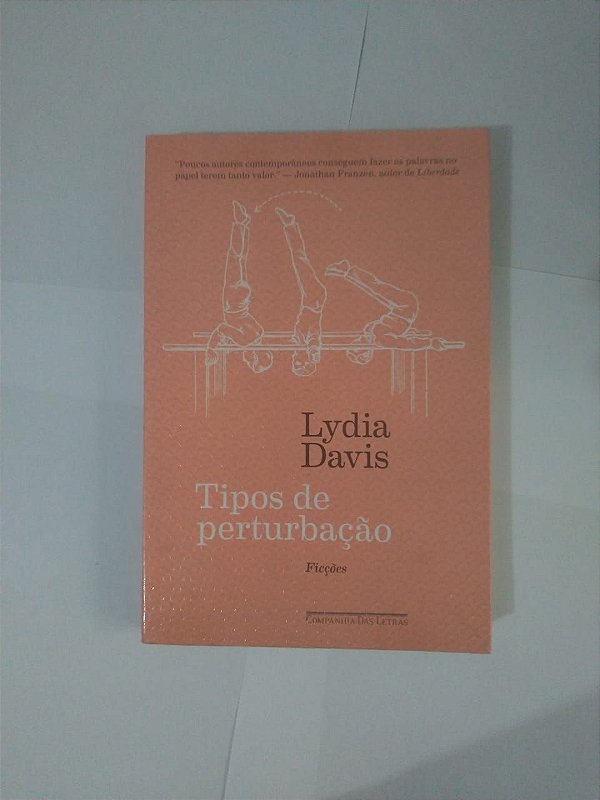 Tipos de Pertubação - Lydia Davis