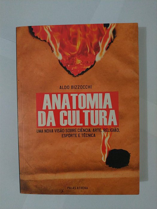 Anatomia da Cultura - Aldo Bizzocchi (marcas)