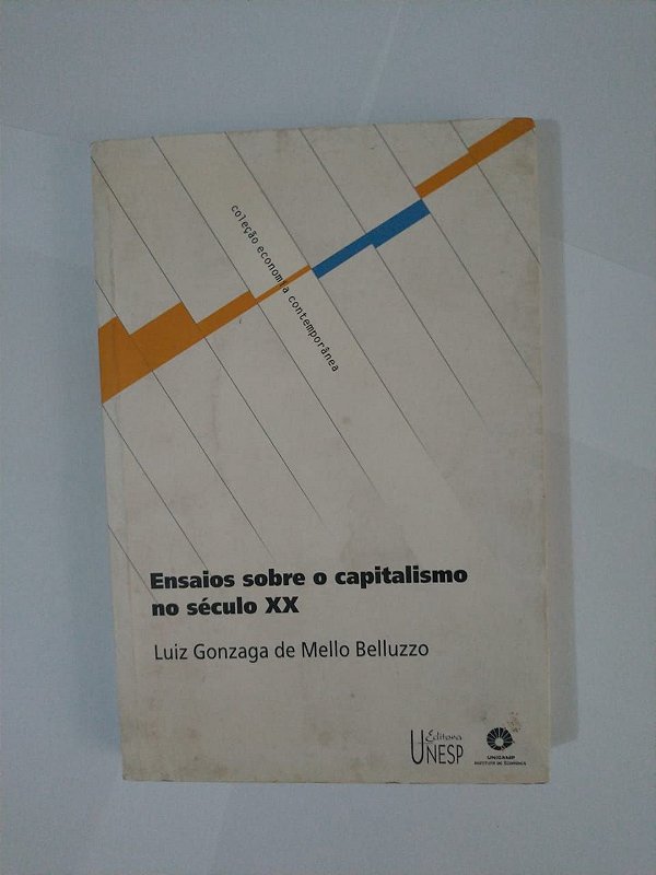 Ensaios Sobre o Capitalismo no Século XX - Luiz Gonzaga de Mello Belluzzo