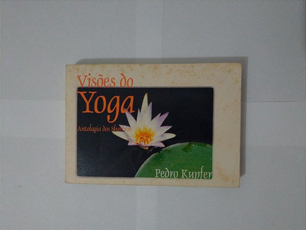 Visões do Yoga - Pedro Kupfer