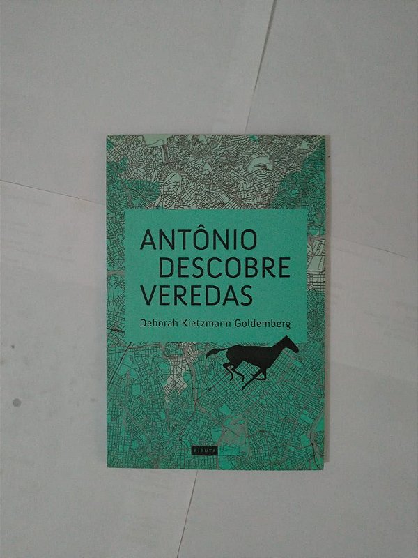 Antônio Descobre Veredas - Deborah Kietzman Goldemberg