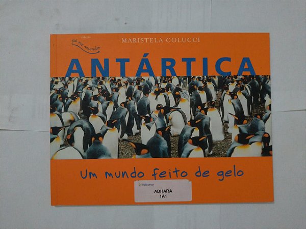 Antártida, Um Mundo Feito de Gelo - Maristela Colucci