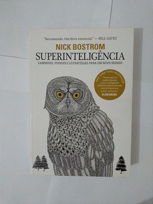 Superinteligência - Nick Bostrom (Darkside)