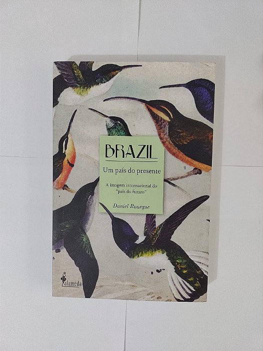 Brazil: Um paós do Presente - Daniel Buarque