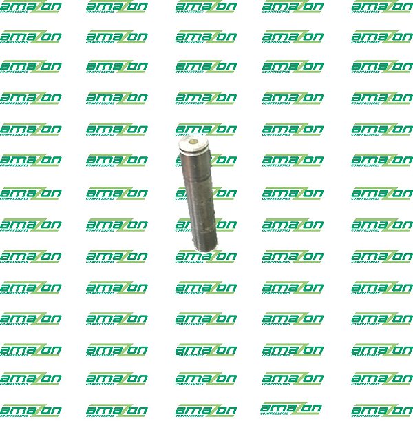 PALETRANS - EIXO DA RODA TANDEM PL/PLZ/PT/TE 18 - 0401068