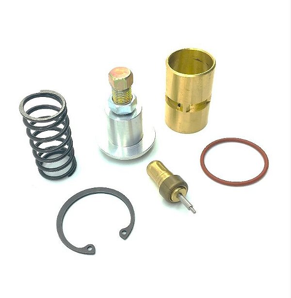 Reparo Da Válvula De Alívio RB115P Parafuso - 021.1047-0/AT - Schulz