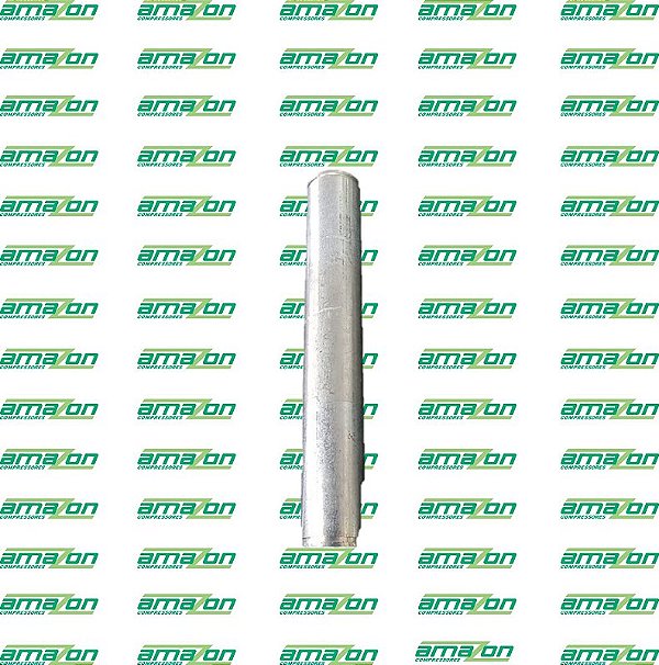 PALETRANS - PINO DE FIXACAO DA RODA SIMPLES - TM 2500