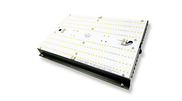 Painel de LED Quantum Board 120w LM301H - Master Plants