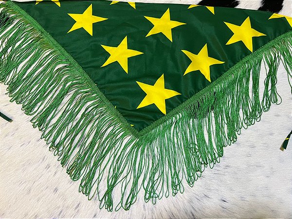 Lenço de Franjas com Estampa do Brasil Verde