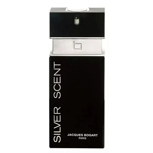 Silver Scent Masculino Eau de Toilette