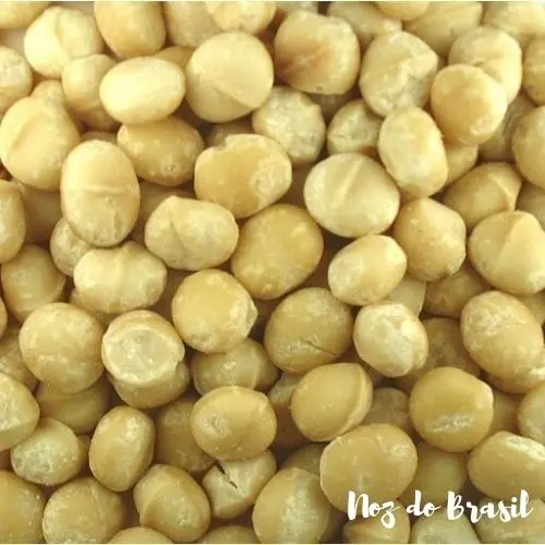 Noz Macadâmia Torrada Salgada