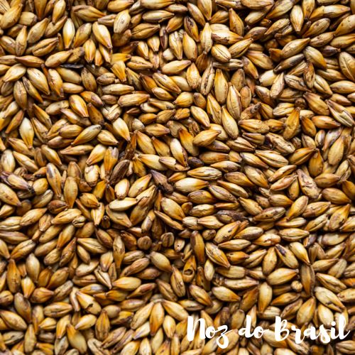 Cevadinha em Grãos (250g)