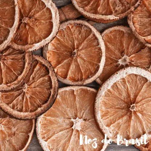 Laranja Desidratada em Rodelas com Casca (50g)