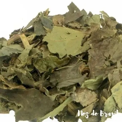 Pata de Vaca (50 g)
