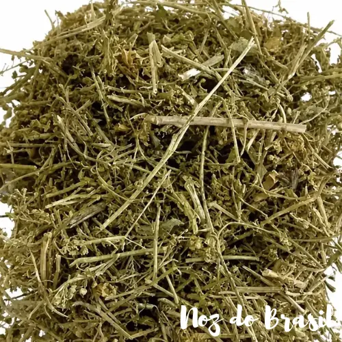Mentruz - Erva de Santa Maria (50g)