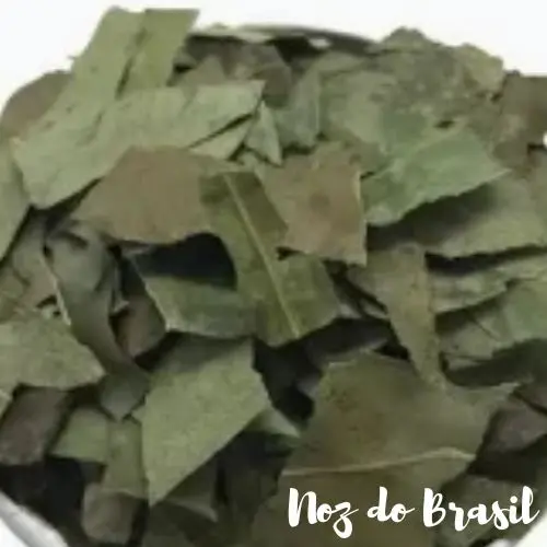 Folha de Eucalipto (50g)