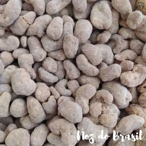 Castanha-de-Caju Caramelizada com Leite Ninho (250g)