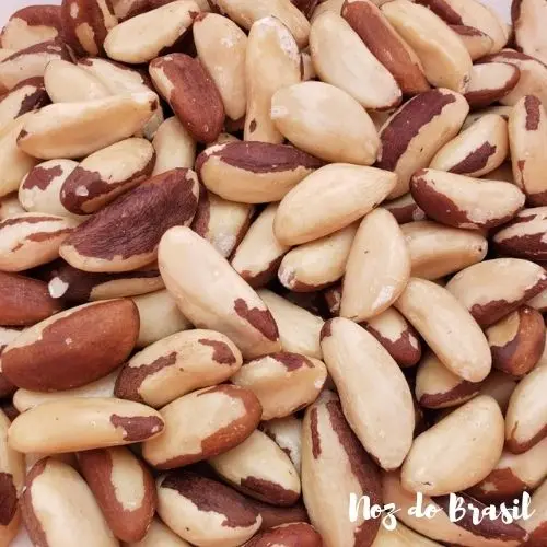 Castanha-do-Pará Inteira