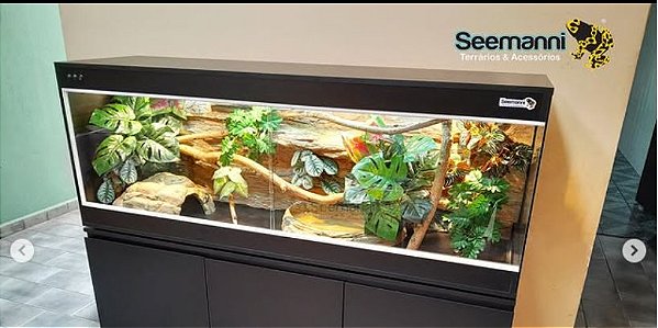 Terrário RAPHAEL MORAES