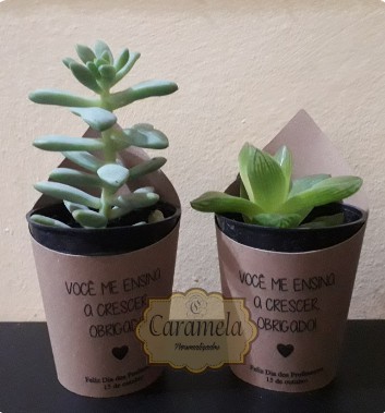 Saia (Rótulo) Kraft para suculenta (Impresso)_Vaso nº 6_Personalizada