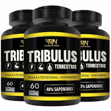 TRIBULUS TERRESTRE 60CPS