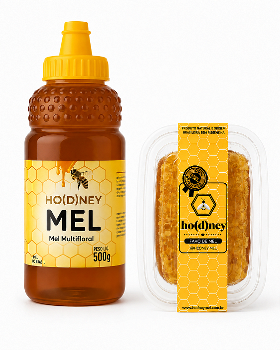 Kit Hodney Mel 500gr + Favo de Mel Hodney