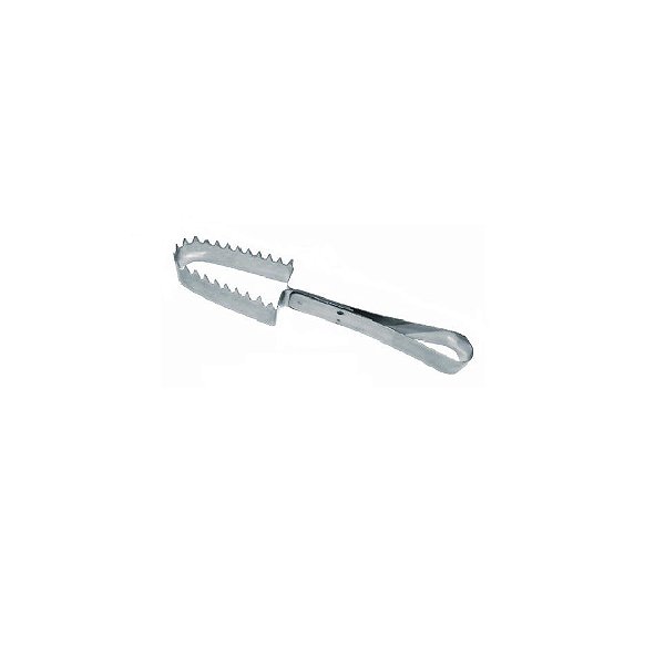 Escamador Peixe Inox Acinox
