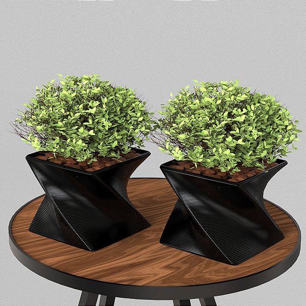 2 Mini Vasos TWIST